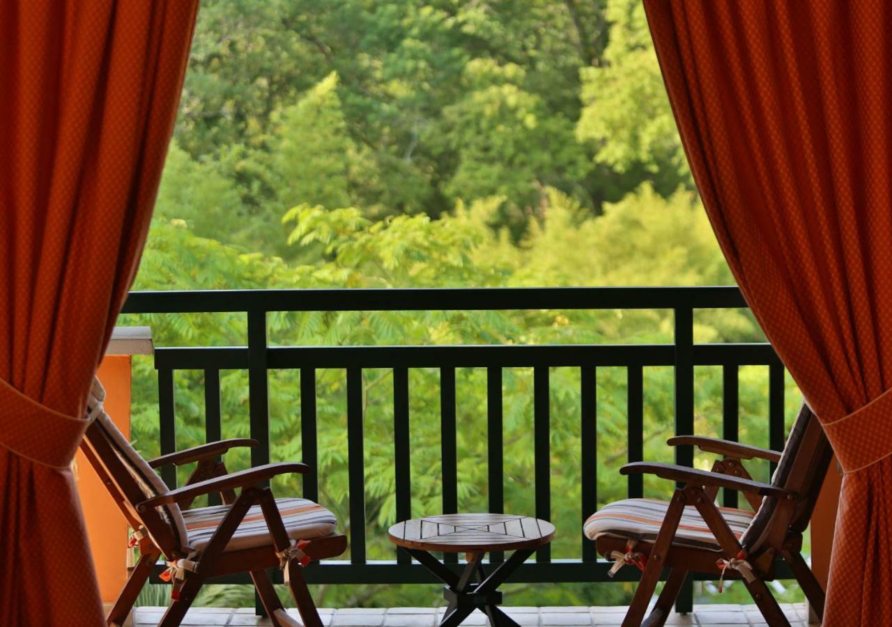 Hotel Les Freres Ibarboure 比达尔 外观 照片